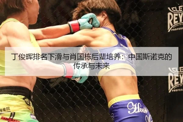 ding-jun-hui-pai-ming-xia-hua-yu-xiao-guo-dong-hou-bei-pei-yang-zhong-guo-si-nuo-ke-de-chuan-cheng-yu-wei-lai-2-353.jpg